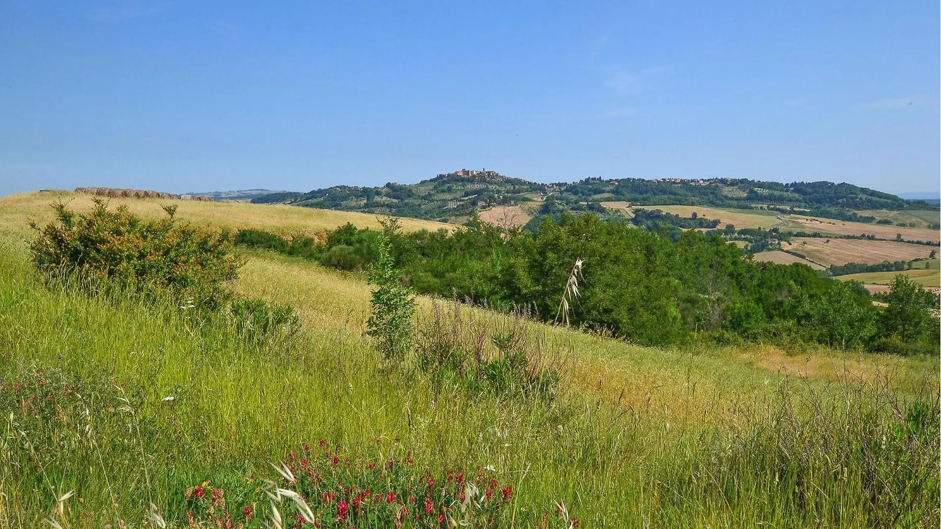 Holiday home Awesome Home In Pienza Italy